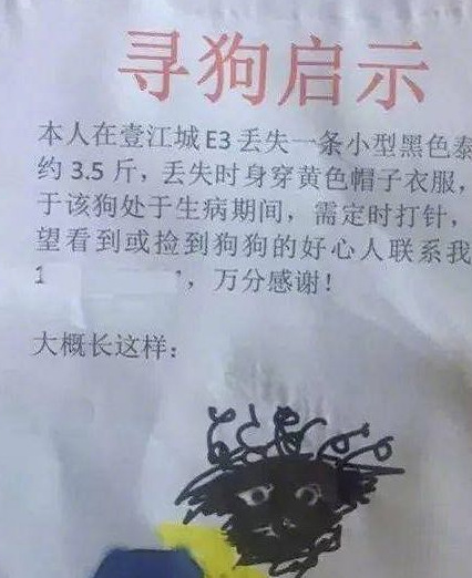 看铲屎官花式寻宠物,图六是和主子有多大仇?_启事_鹿角_话说