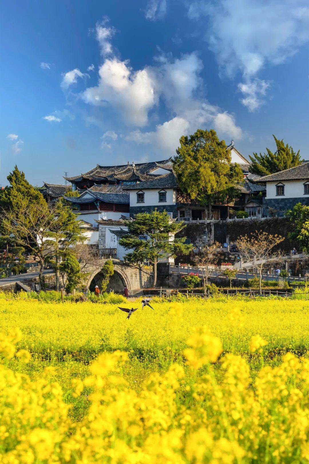 探秘国家5a级旅游景区,品读和顺六大魅力_和顺古镇_腾冲_文化