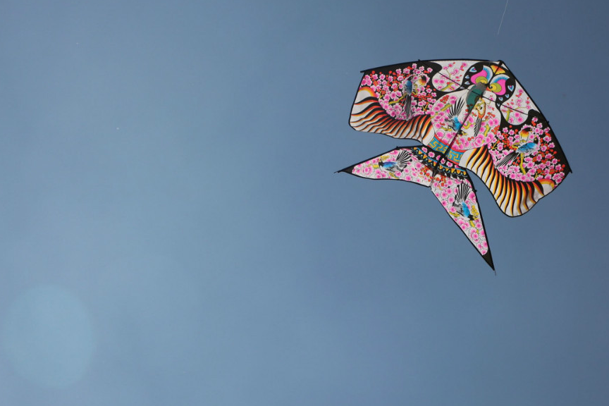 天秤座喜欢有些传统风格的风筝,下面这款燕子的造型是不是很经典?