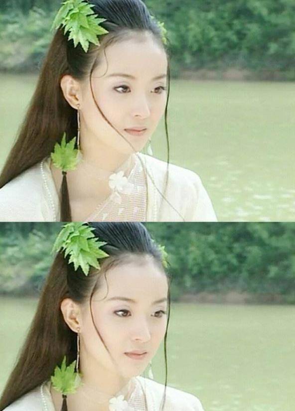 王艳:"晴格格"的豪门生活,照顾"老佛爷"般婆婆_王志才_前妻_家庭