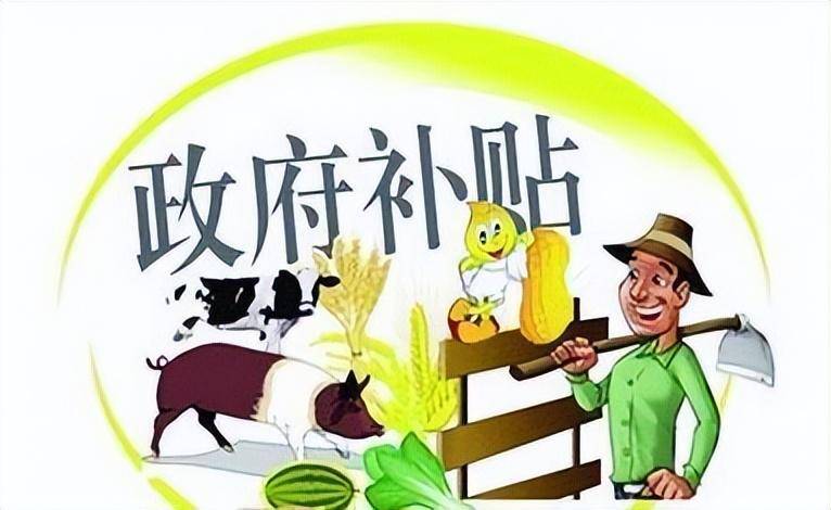 申请深圳创业补贴别慌,符合条件就能拿到手!_公司_社保_基本