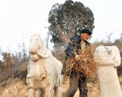 秦始皇陵数千年,探寻真实守墓人,"蒙氏"家族守护至今,一轮20年_陵墓