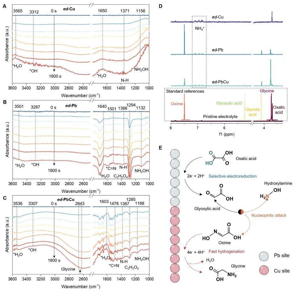 谢毅院士-孙永福团队突破:打通从co2 n2电合成氨基酸关键路径_生产_电