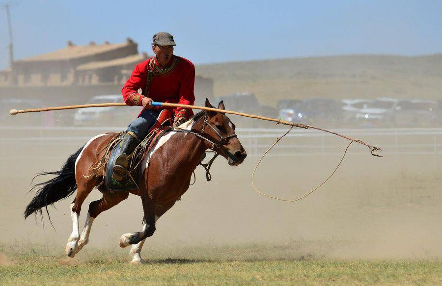 套马的汉子你净想屁吃?恢复传统回鹘蒙古文的蒙古到底有何野心?