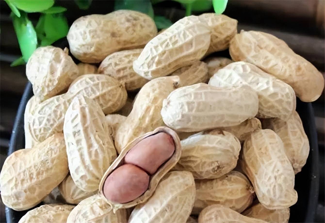 花生属于坚果吗?吃花生有这么多好处,可这些人却不能吃?