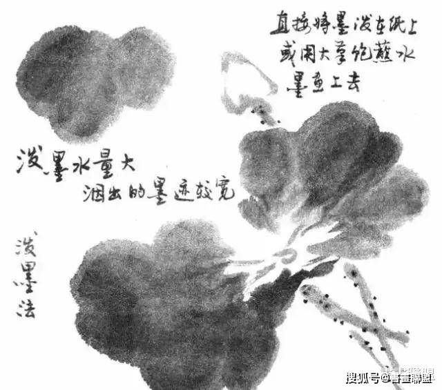 写意花鸟画笔墨技法详解:墨法_变化_方法_用墨