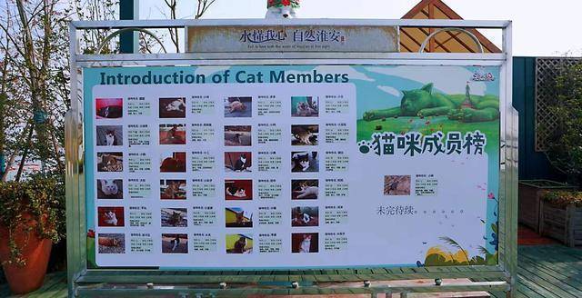总结一下,肥猫岛比较适合拍照,可玩性一般.