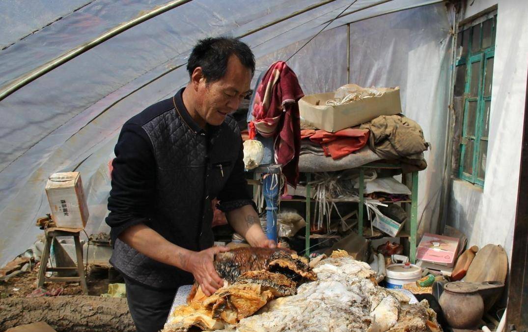 辽宁农民王承德:意外捡到太岁赚300万,2年后遇到大灾,今如何了_东西