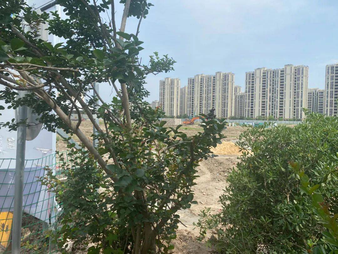 中国铁建熙语|上海奉贤(中国铁建熙语)楼盘详情-房价