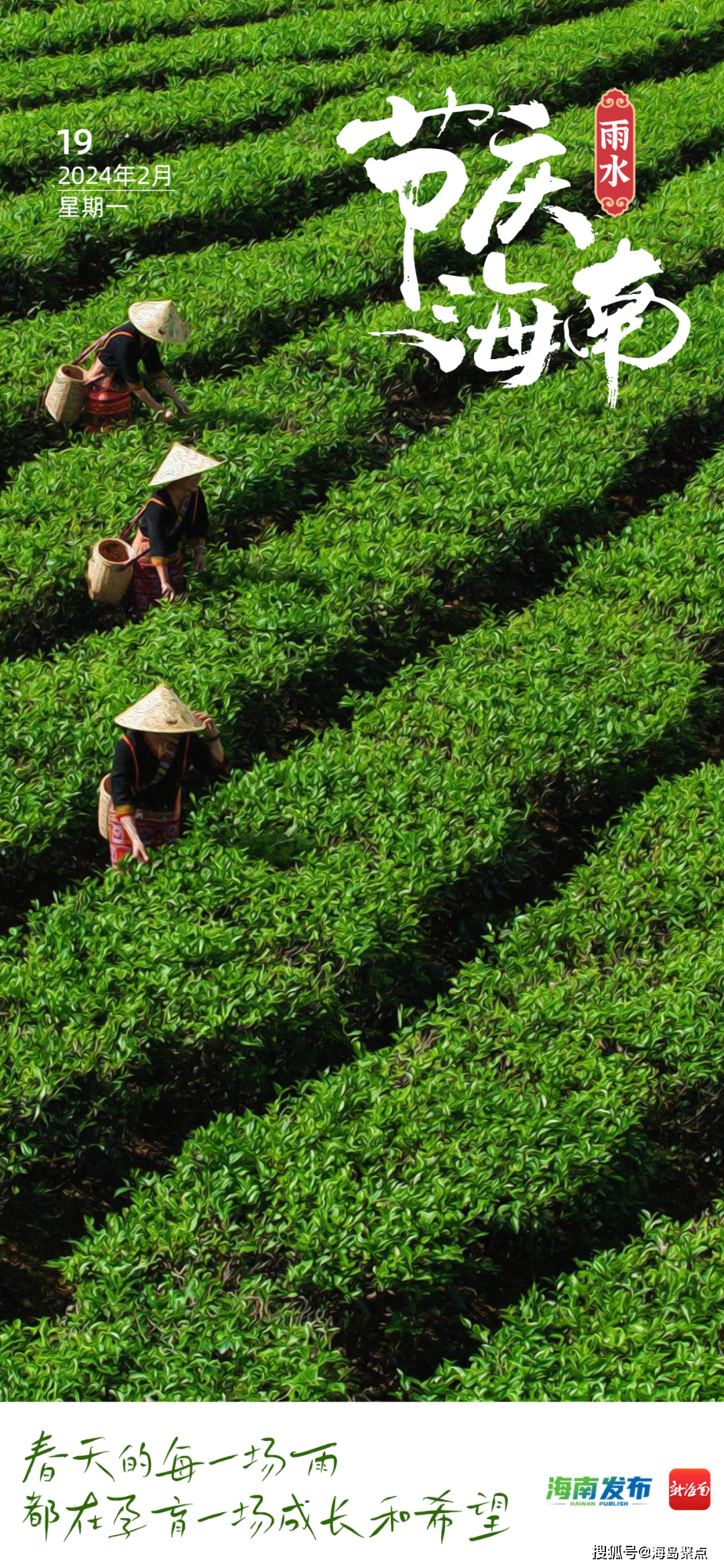 水满乡_五指山_茶园