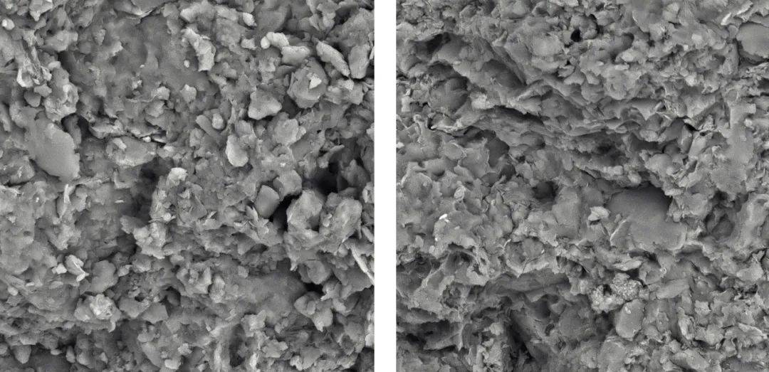 从宏观到微观——泽攸科技zem系列台式扫描电子显微镜在岩石分析中的