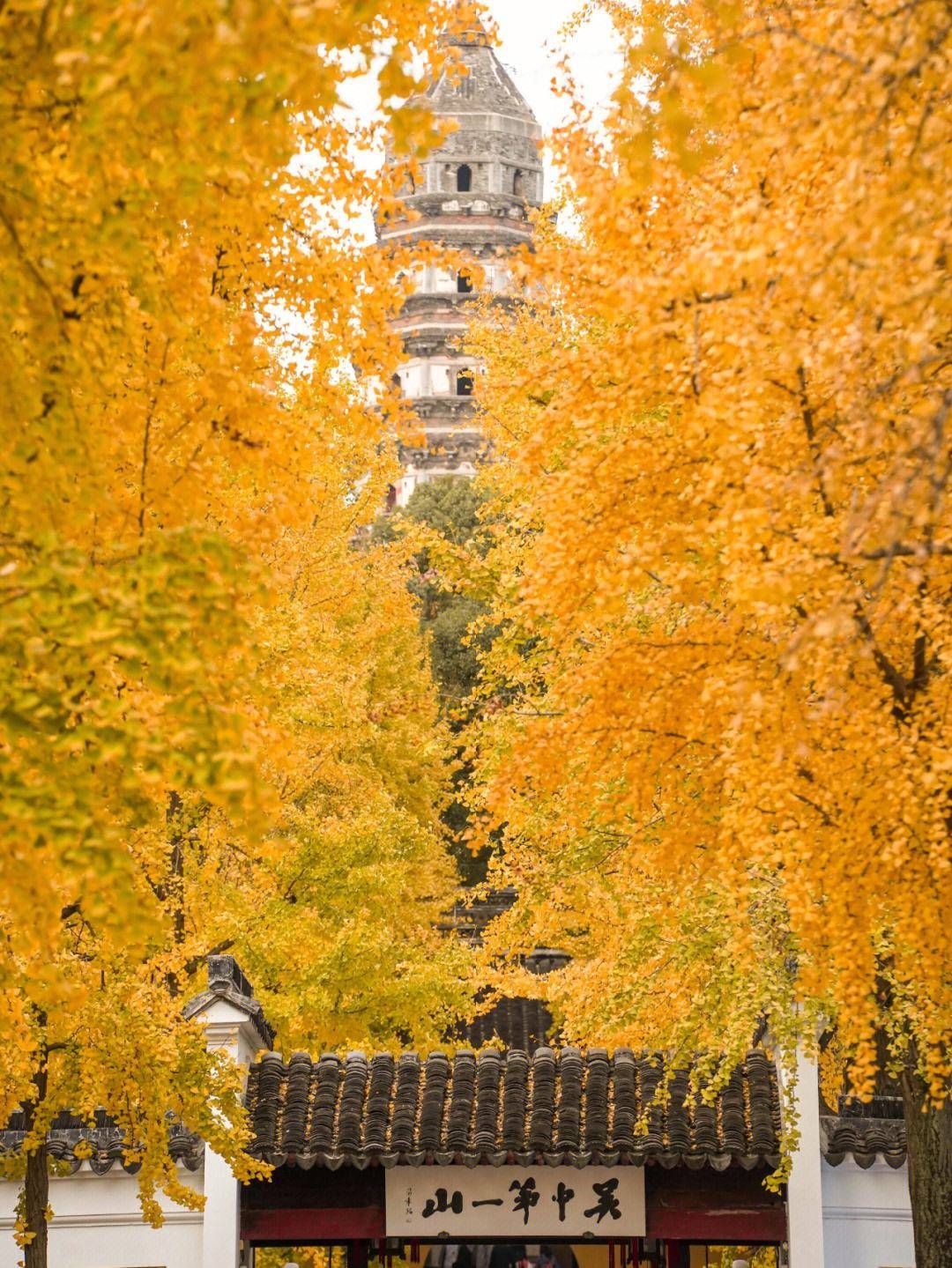 江苏的代表性名山之一,被打造成5a级的山川景区,是省级风景区_虎丘