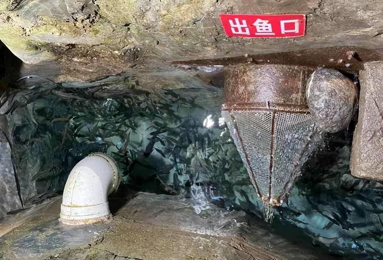 2020年7月,李常权收到巫溪县有关部门下达的整改通知后,他立刻将家中