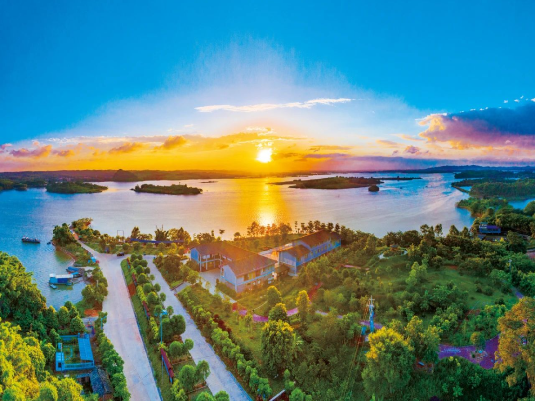 横州年味浓 文旅活动火_游客_旅游_市民