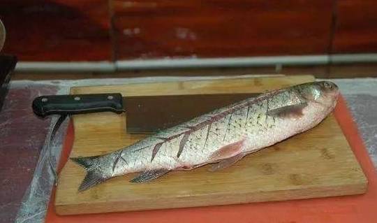 原料_刀纹_加工