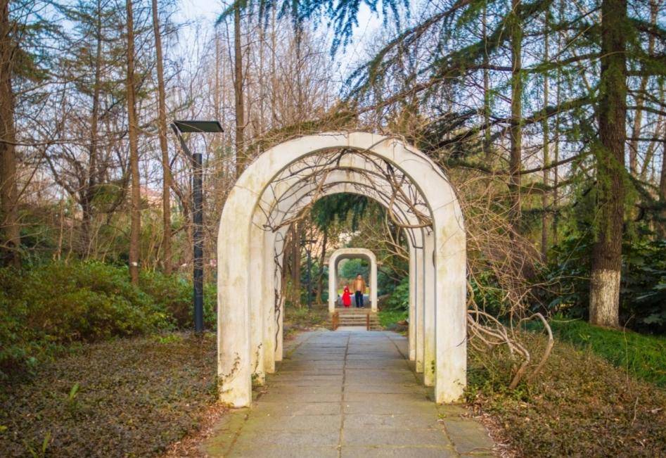 上海宝山友谊公园十分美丽_娱乐_游客_景点