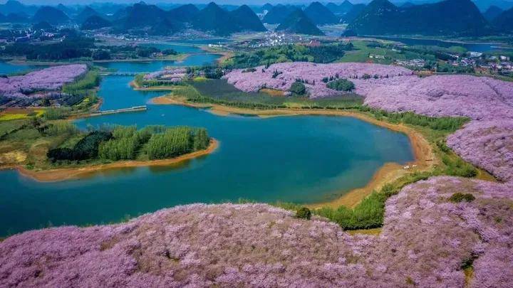 哼着《上春山》一探究竟_旅游_图片_文化
