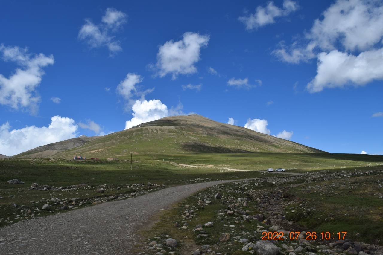 森林走心篇章:人性善良散发温暖光芒_父亲_医生_大舅