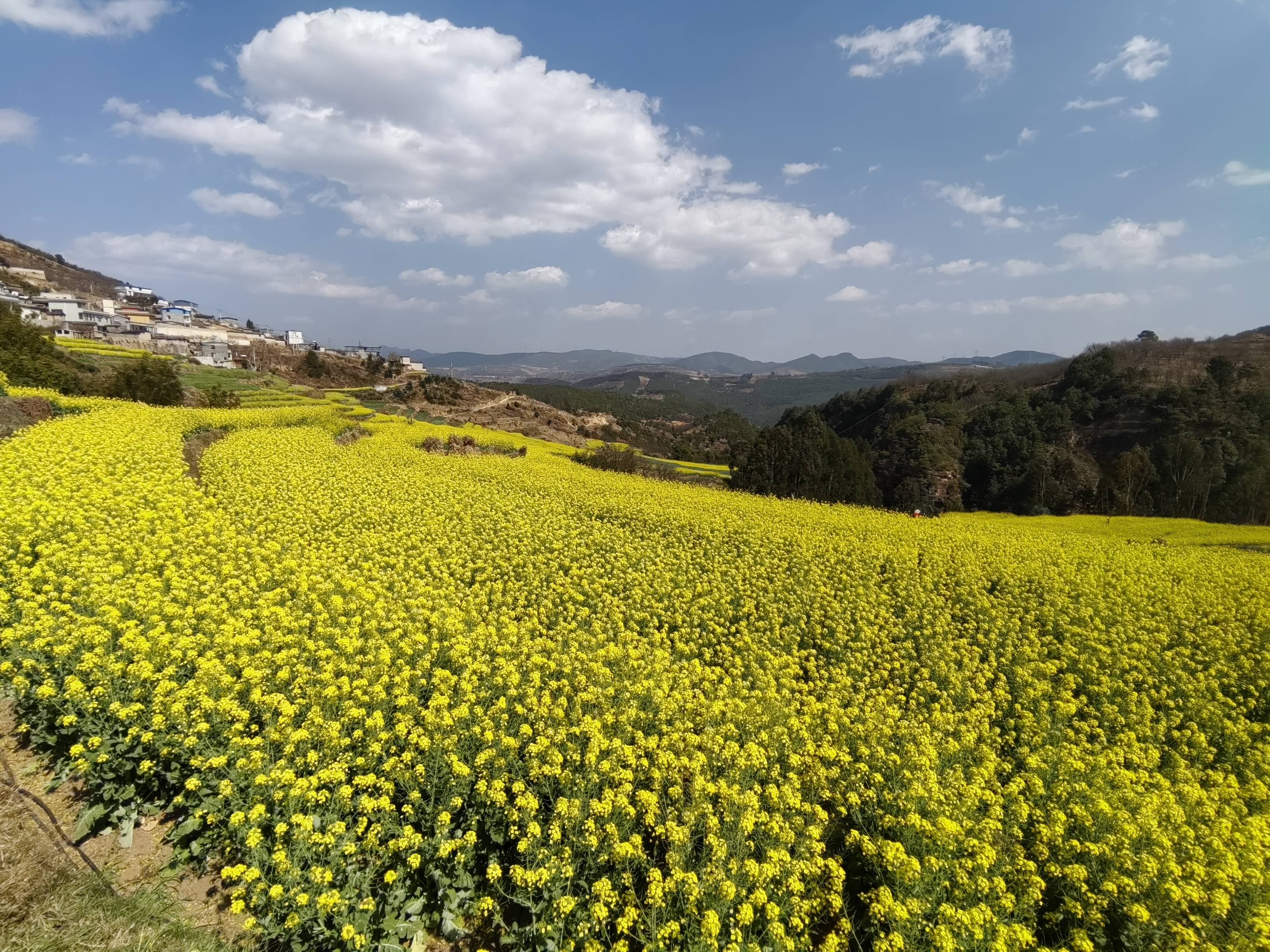 禄劝山间坝子上的3.