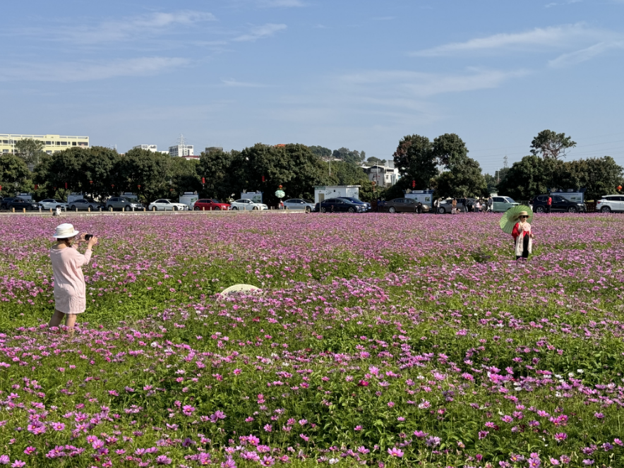 这个春节,东莞茶山文旅市场"热辣滚烫"_公园_消费_游客
