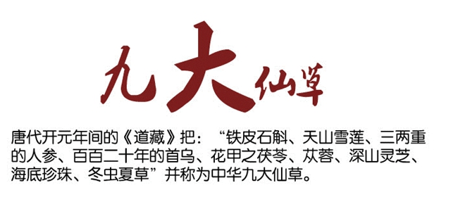 石斛多少钱一斤,教你成为精明买家~_铁皮_价格_因素