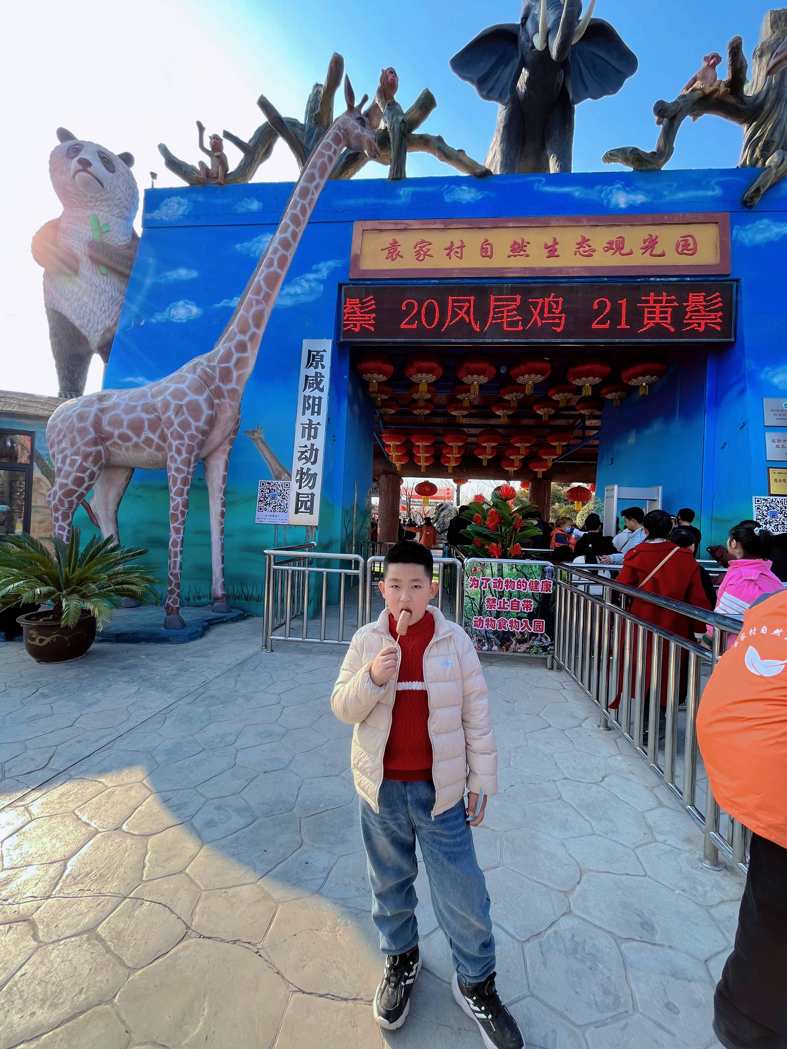 龙腾福跃 寻龙诀 与蒙迪欧新年游袁家村_篝火_一家人_动物园