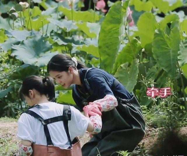 挖莲藕时欧阳娜娜镜头都是美的,张子枫一言难尽_妹妹_节目_显得