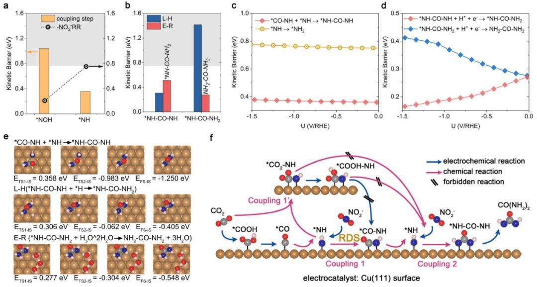 尿素_研究_反应