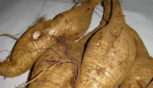 女人过了40岁,记得常吃这些养人食物!排出体内毒素,更有女人味_皮肤_