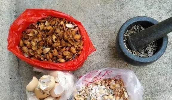 叶土_蚯蚓_沙子