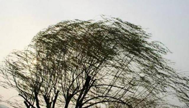 我国_观测_人们