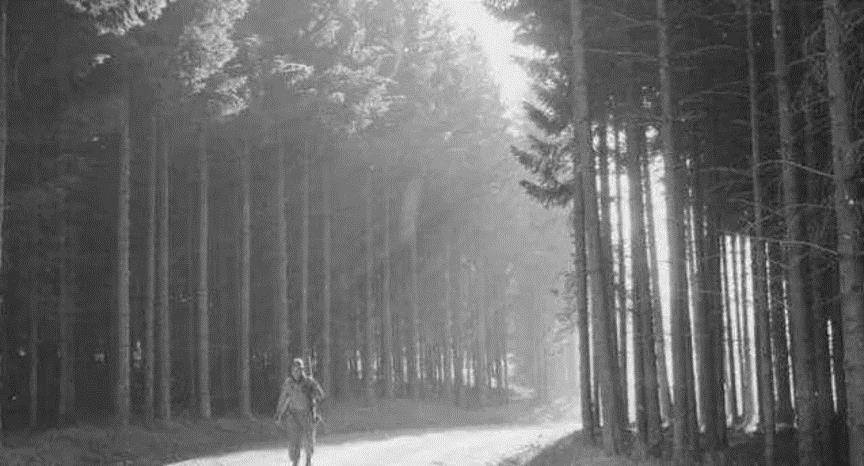 这其中有一位德国妈妈叫伊丽莎白61维肯(elisabeth vincken),她带着