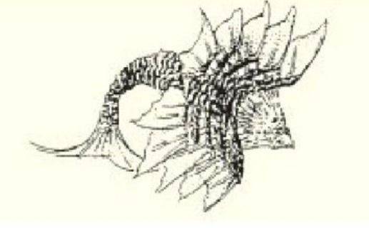 鳛鳛之鱼有兽焉,其状如貆而赤豪,其音如榴榴,名曰孟槐,可以御凶.