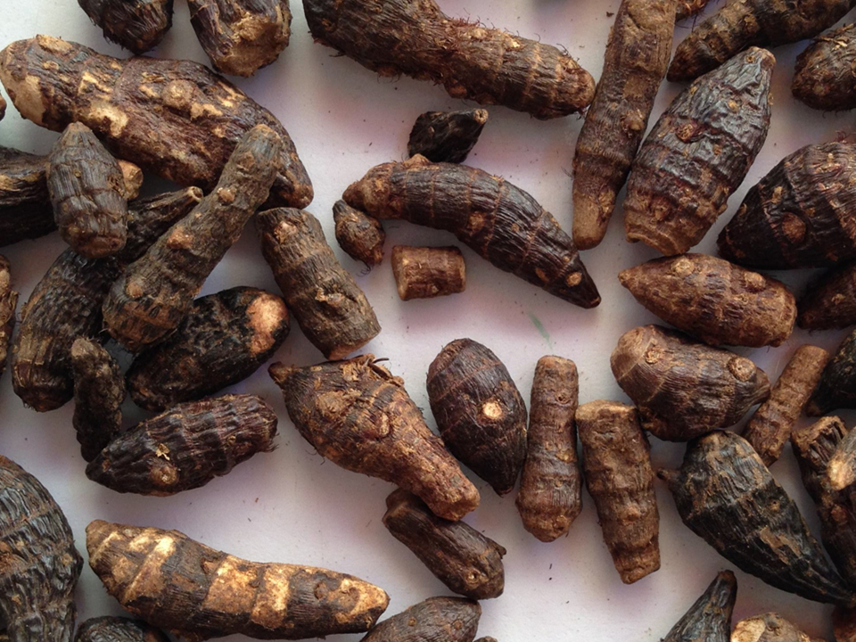 香附被称作"气之总司",记住三句话就能成为用香附养生的高手_影响