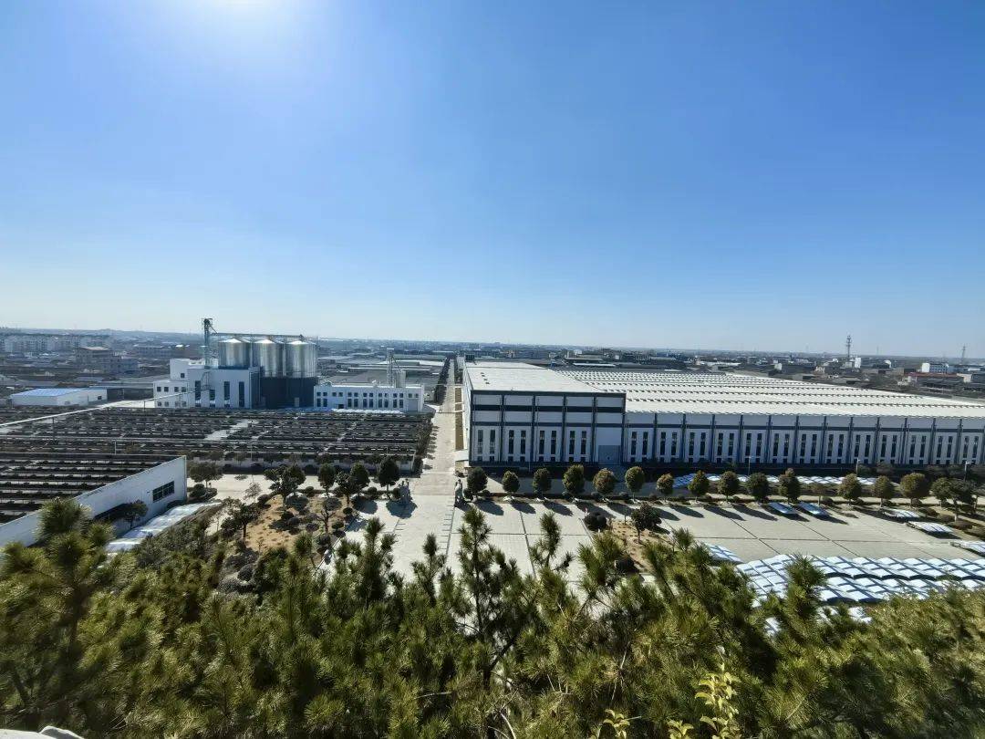 凯西 兰陵美酒郁金香_中国_历史长河_屈原