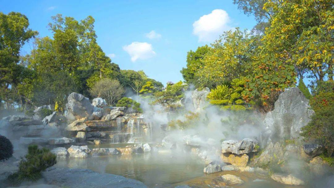 花园_树名_樱花