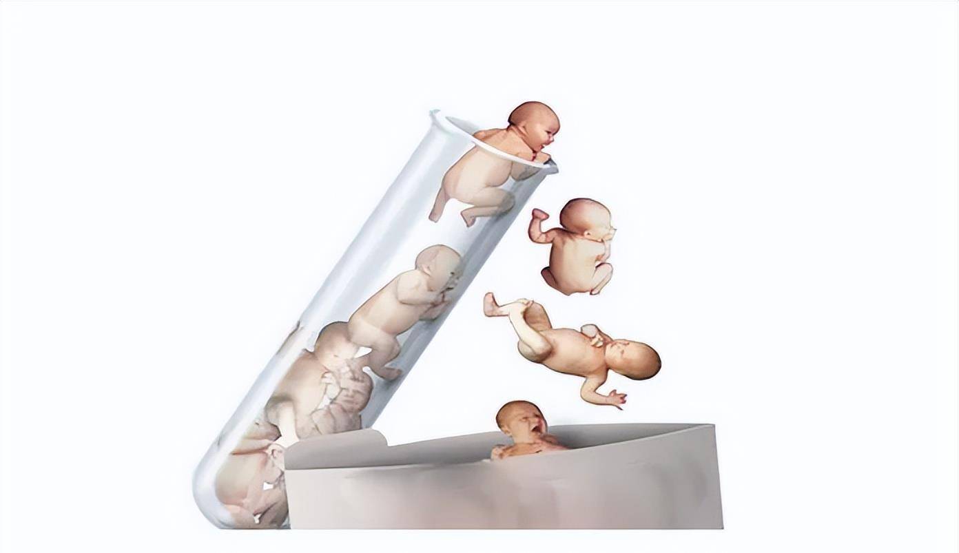 失独老太盛海琳,60岁冒死生下双胞胎,如今成百万富翁