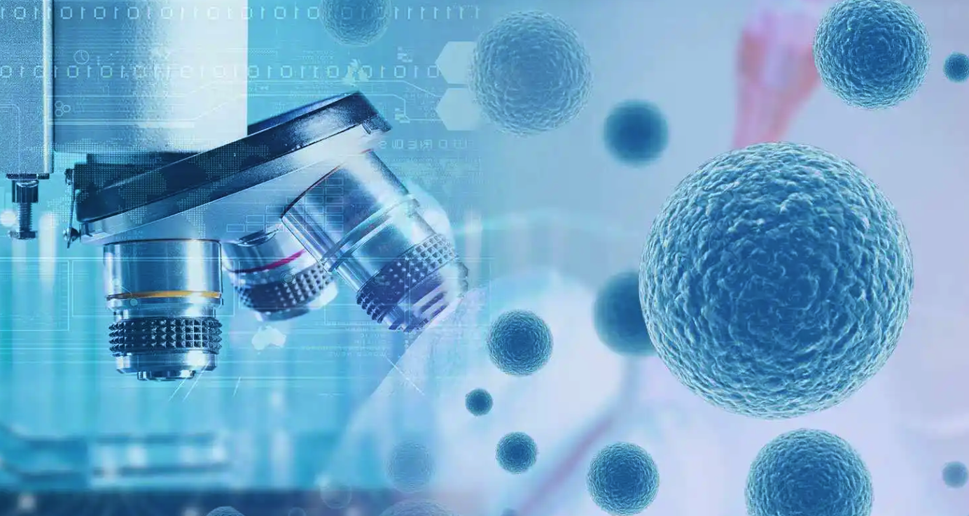 干细胞行业发展方向解析_广州市_北京_产业