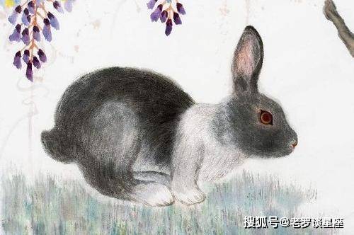 未来10天,3大属相横财大发,天赐好运,事业稳步上升,富贵安康_朋友