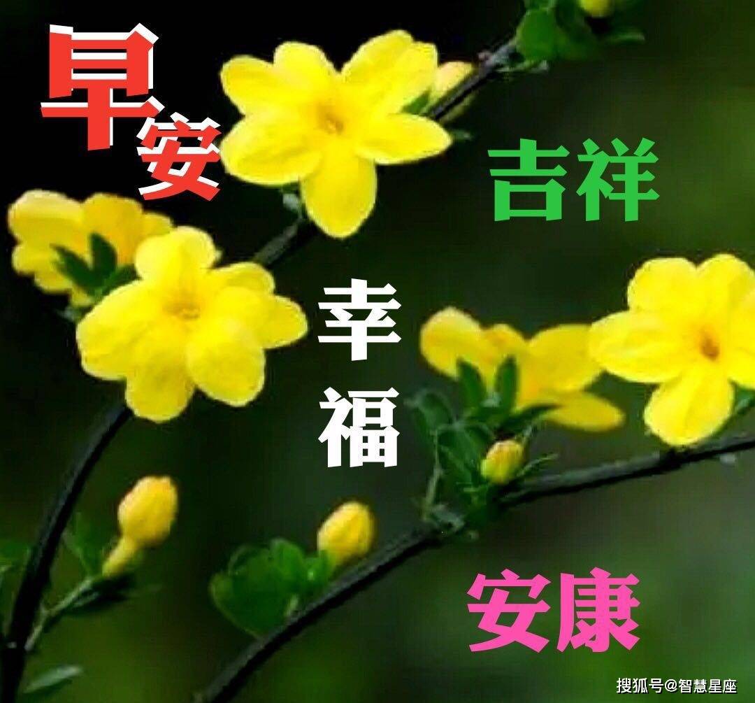 关心是最真挚的问候,牵挂是最无私的思念,祝福是最美好的话语