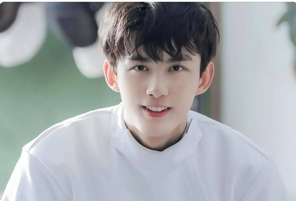 标题:吴磊:实力演技成就自我,绯闻风波背后引发焦点_向涵_质疑_感情