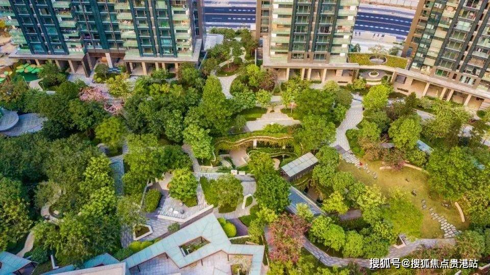 深圳博林天瑞250/850顶层复式,总价2800-5800万.毛坯现楼交付.