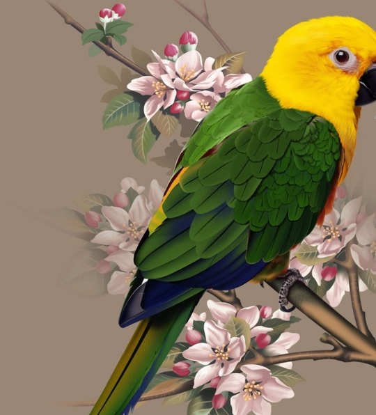 口令_动作_手段