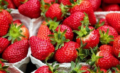迈开腿吃草莓方法 迈开腿尝尝你的小草莓什么意思？