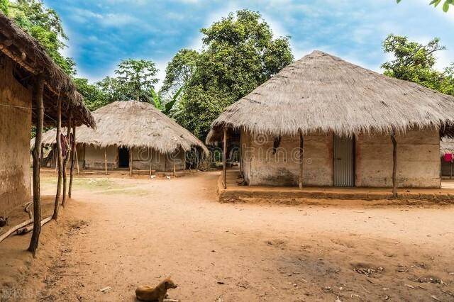 几内亚比绍绿卡怎么获得?为什么会这么受欢迎?_国际学校_国家_生活