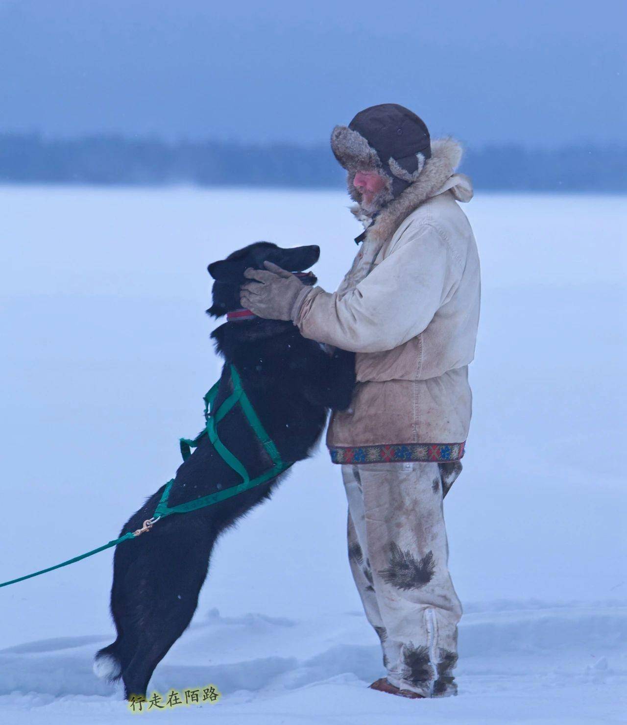 被忽悠的因纽特人:误把鲸骨当图腾,拜了600年方知