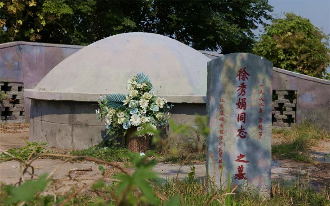 中国第一位驯鹤姑娘徐秀娟:突破世界级难题,23岁化身仙鹤_徐铁林