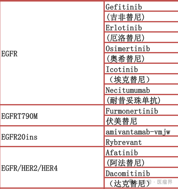 从第一代的吉非替尼,厄洛替尼再到第二代的阿法替尼和达克替尼和第三
