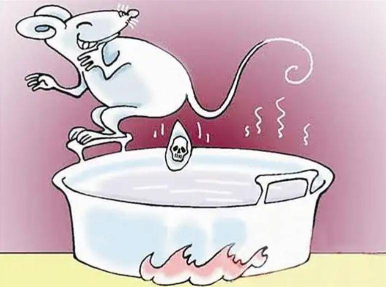 从一粒老鼠屎看监管