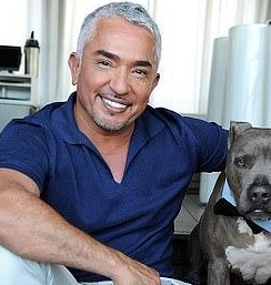 frankie_狗狗_咬人